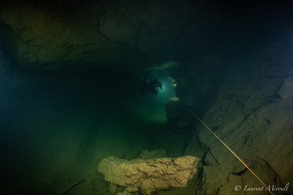 untitled image