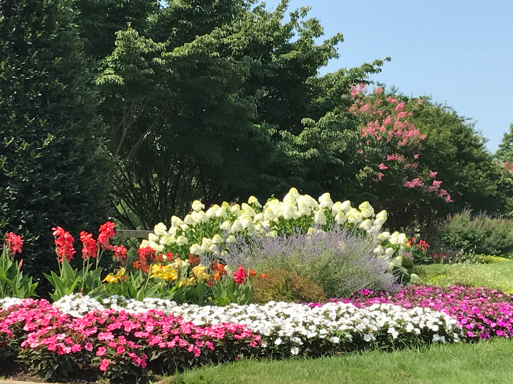 Capitol Hill Garden Club