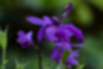 2025_3171_Folly_DBG_edited