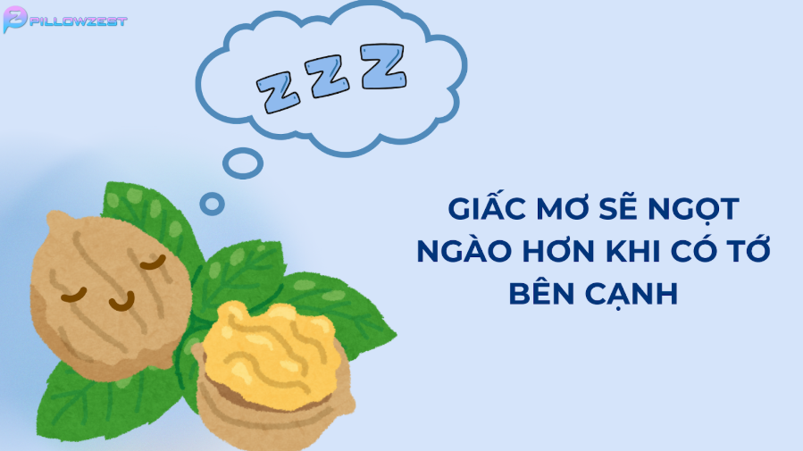 Giấc mơ sẽ ngọt ngào hơn khi có tớ bên cạnh. PillowZest 2025.