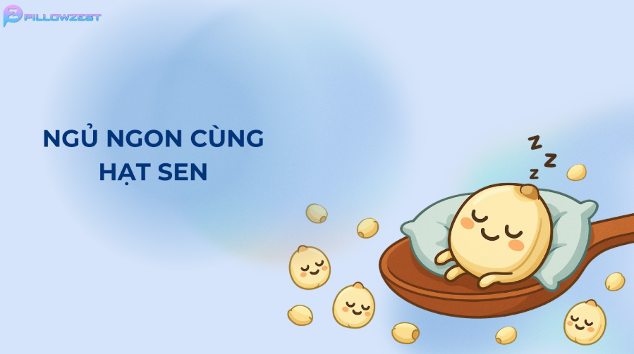 Ngủ ngon cùng hạt sen. PillowZest 2025.