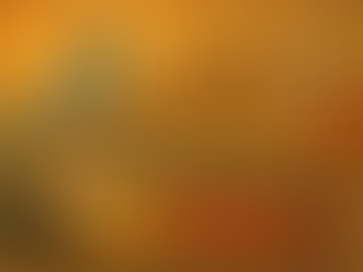 జాతి గౌరవం - వర్ణ వైభవం - ధర్మ రక్షణం