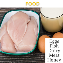 Copy of Animal Use (4).png