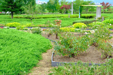 ひまわりの丘公園と好旬ファームパークのページ-画像6