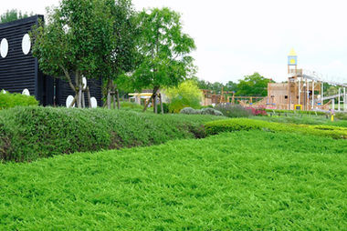 ひまわりの丘公園と好旬ファームパークのページ-画像15