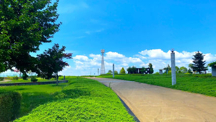 ひまわりの丘公園と好旬ファームパークのページ-画像11