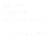 pursuit.png