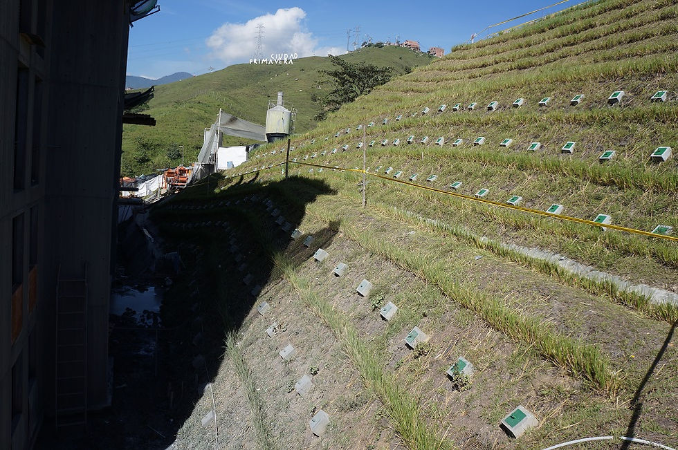 Vetiver System as Soil Bioengineering tool for Infrastructure Protection Medellin, Colombia