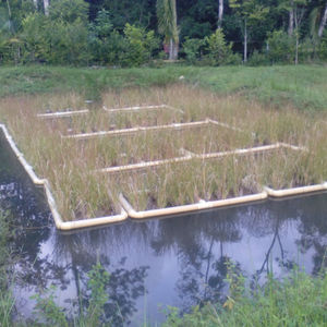 San Carlos, Antioquia, Colombia