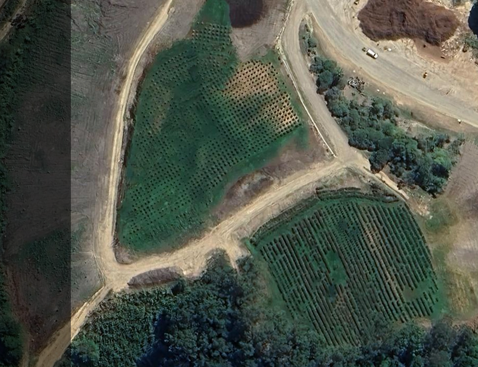 Vetiver Systems for Leachate Management at Stotts Creek in NSW, Australia (2025)