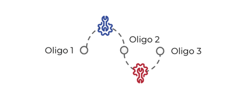 Untitled design - 2025-08-25T140358.870.png