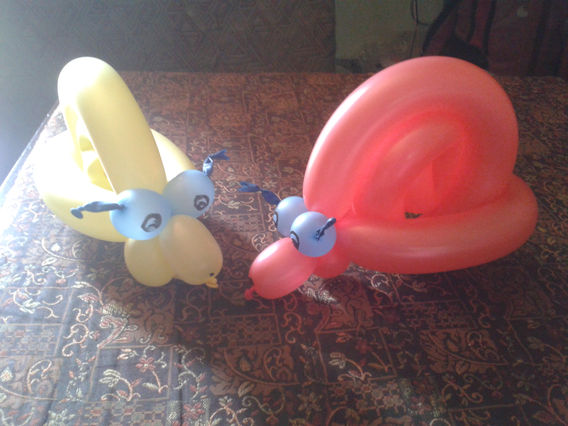 BALLOON snail.jpg