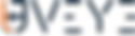 UVEYE logo 2.png