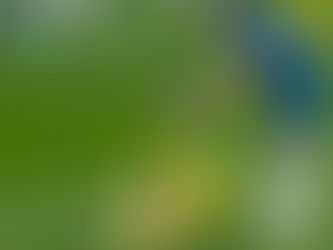 Skelfilegt tap gegn WBA