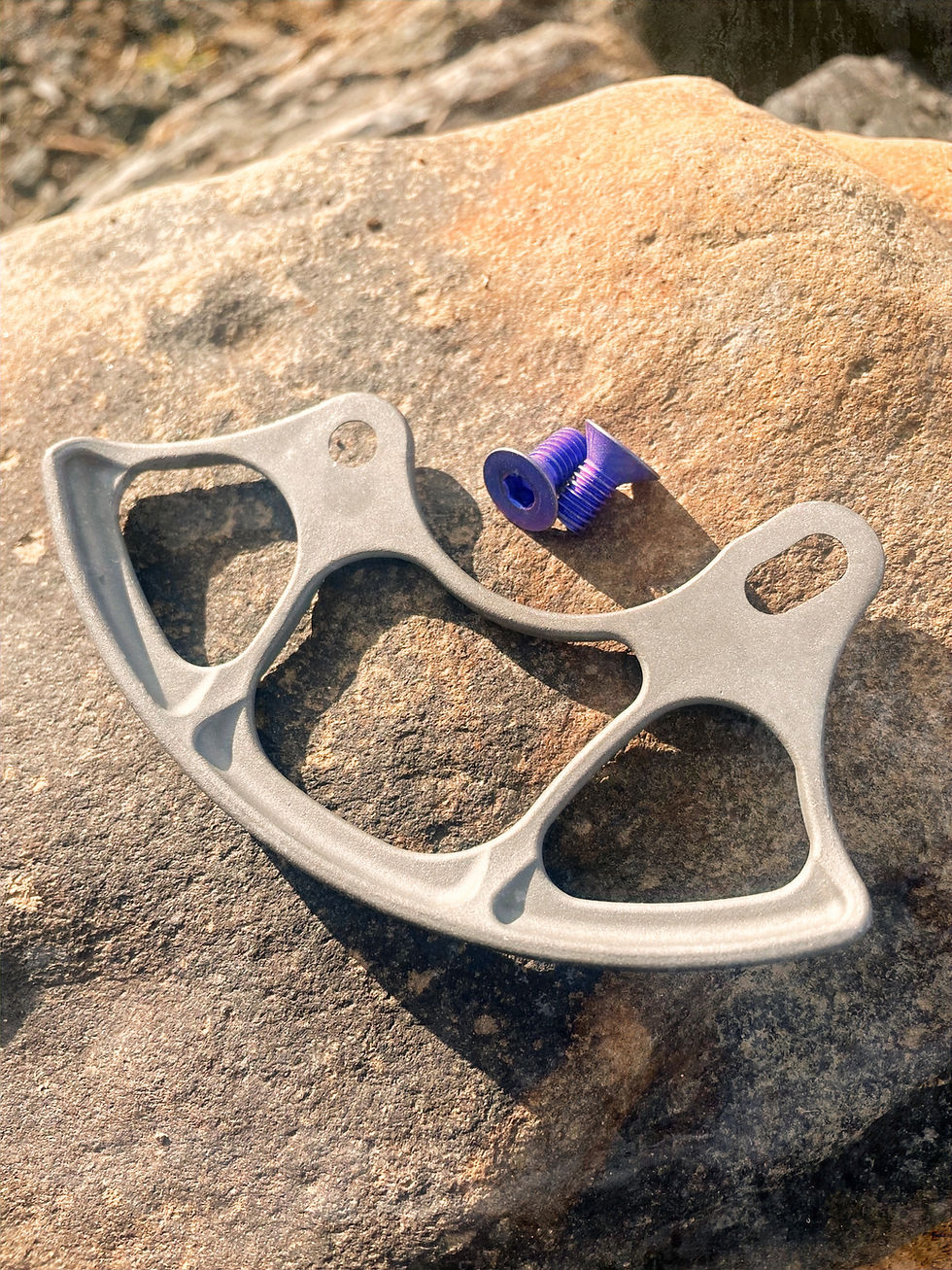 Titanium MTB Bash Guard
