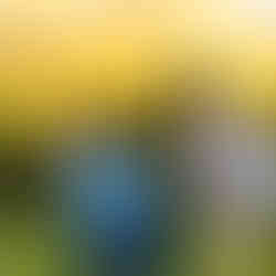 Engagement photography Western NC