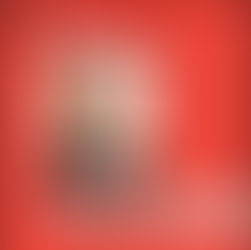 Rozzi Selected for AIA Strategic Council