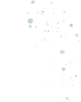 Kropki_1[1].png