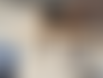 🦅 New nesting boxes for peregrine falcons have been installed under the existing Île-aux-Tourtes Bridge.