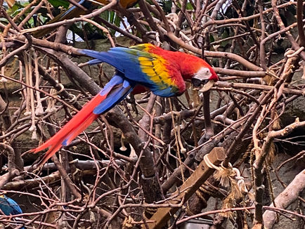 A visit to the Biodome is fun and COVID safe