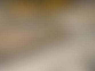 Lights, Camera… Einstein?! TV Crew Brings a Genius (and a Little Chaos) to Sainte-Anne