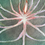 Thumbnail: Anthurium Crystallinum | Original Mixed Media 