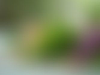 The Benefits of Choosing Natural Ingredients Over Artificial Fragrances and Colors