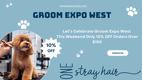 Brown and White Modern Pet Grooming Promotion Instagram Post (1).png