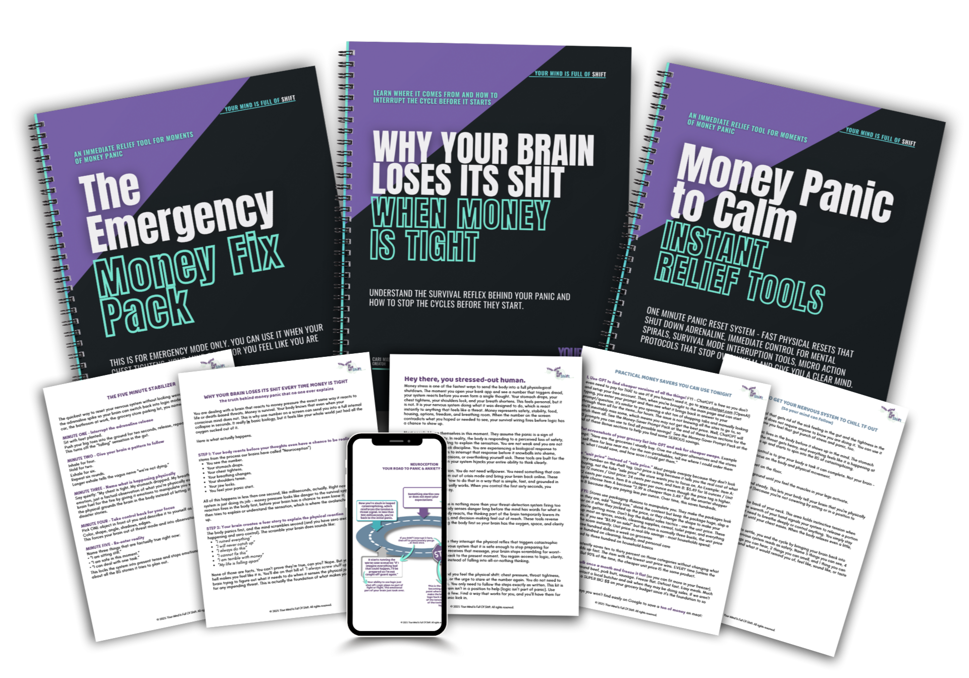 Panic-Proof Your Finances: An Emergency Plan When Money Has You Stressed