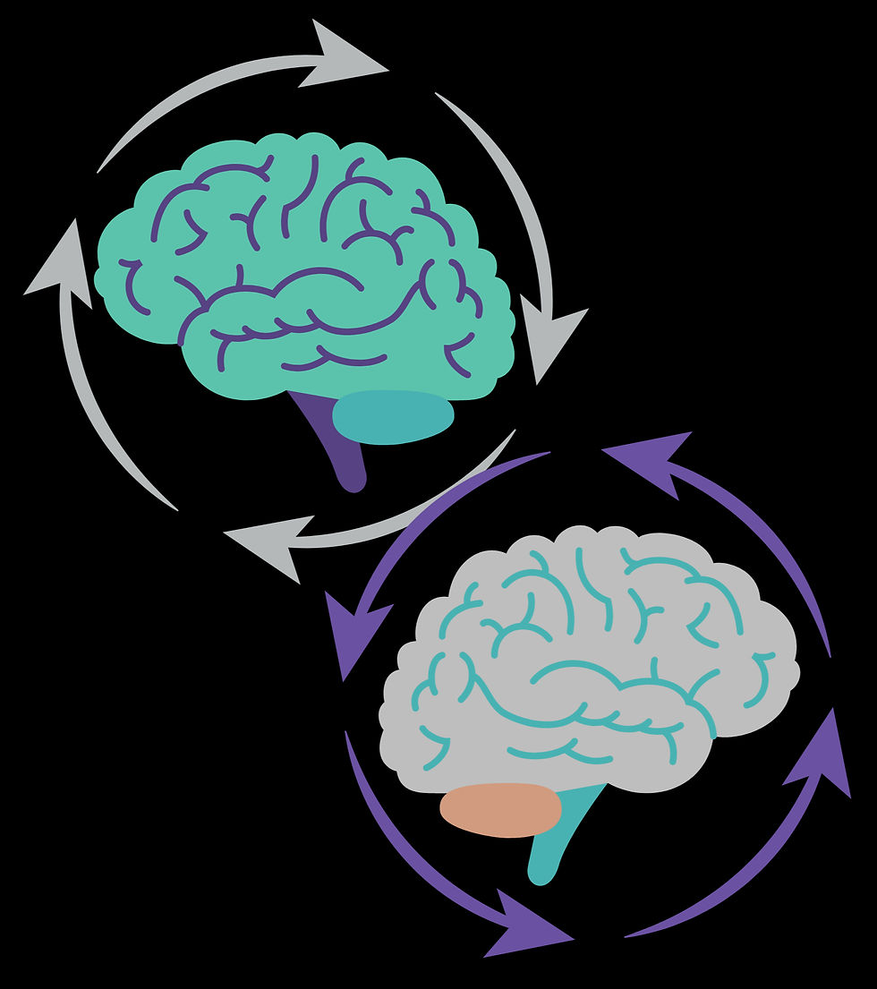 Two brains inside circles made of arrow to show the flow of a thought. The brains are mirror images to imply how different thoughts can change perspecitves.