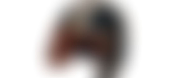 January Artifact of the Month