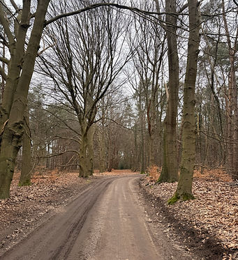 Wandelconsult dietist maike nijverdal, lemele, ommen, raalte