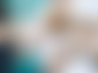 Vet tech tips for clinic workflows and onboarding