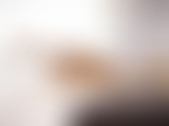 Seamless PMS integration for streamlined veterinary workflows