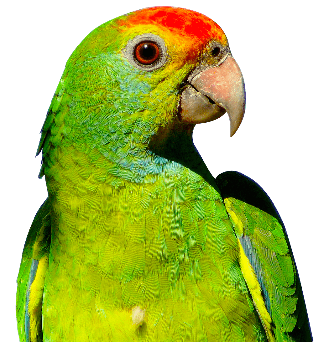 98cc3e_89c1c1fd204b475c91ee304a0a2a51fb~mv2-min.png