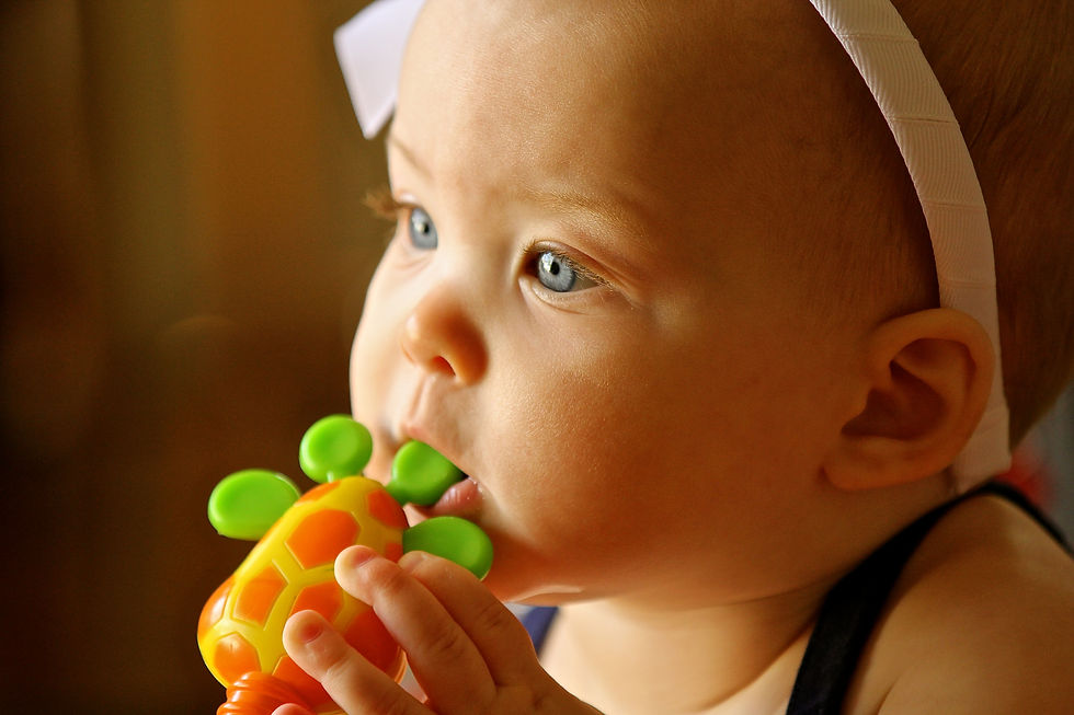 IMG_2057 - Version 2