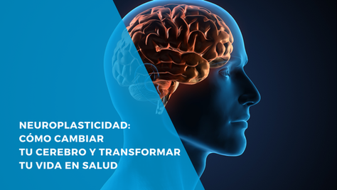 Transparent human profile highlighting a glowing brain against a dark background, showcasing anatomical detail with blue and orange hues.