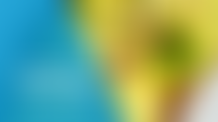 10 alimentos para tu cerebro: potencia tu memoria y concentración