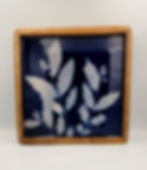 Thumbnail: Square Cyanotype