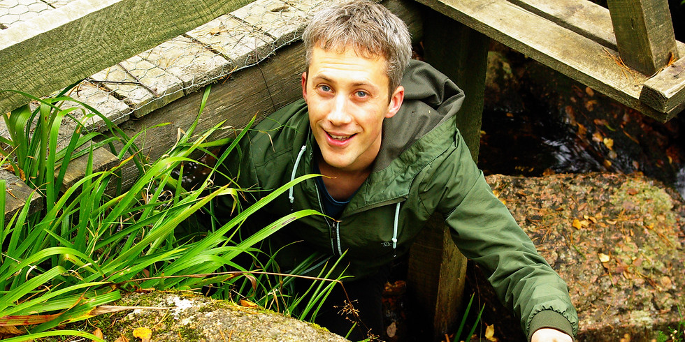 Jaggy Nettles