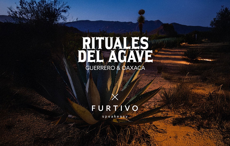 Rituals of the Agave: A Guided Mezcal Tasting