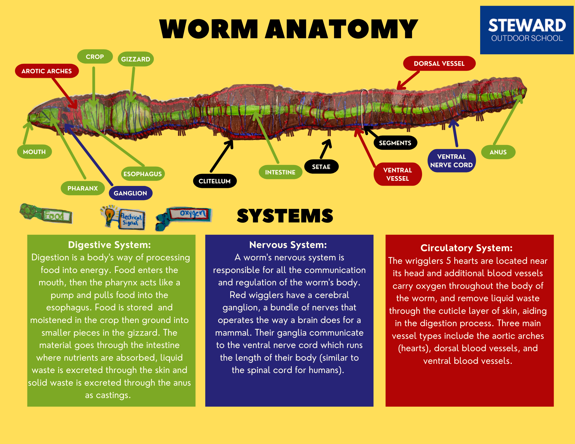 Worm Learning with Kids -- Make a Puzzle content media
