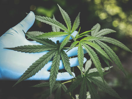 What Conditions Are Treatable With Medical Marijuana?