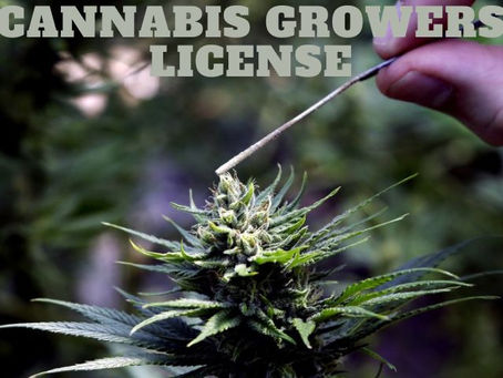 California Growers License 2022