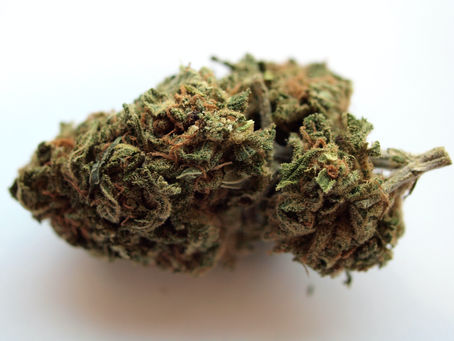 Marijuana Is Legal For A Reason And Here Are The Reasons