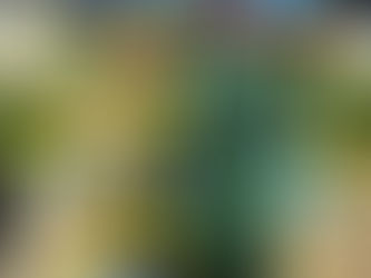 “Going local”: risk or benefit?