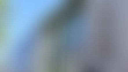 Delivering a demarche