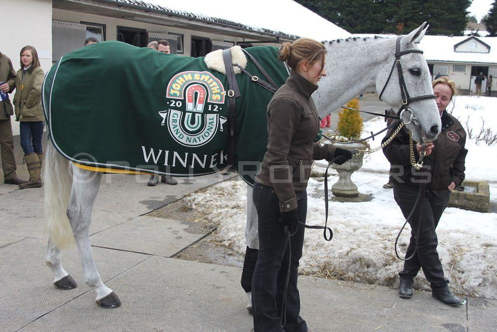 Neptune Collonges