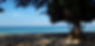 20191212_094015.jpg