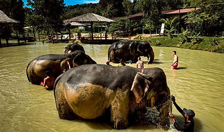 Phuket, Thailand